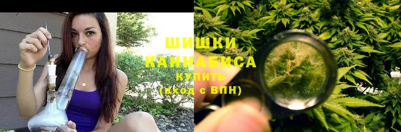 mega как зайти  хочу наркоту  Гатчина  Конопля White Widow 